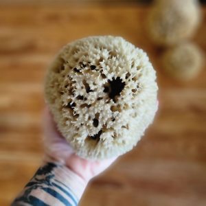 Doğal Deniz Süngeri 5" (C3)