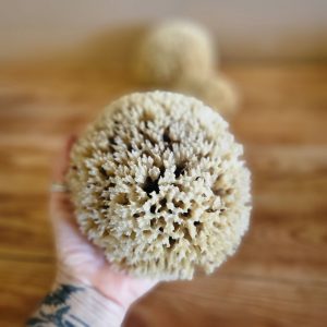 Doğal Deniz Süngeri 5" (D2)