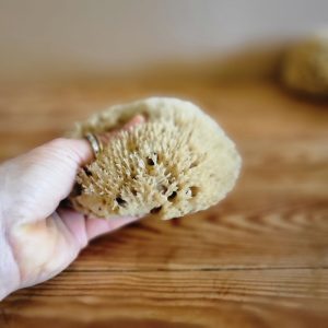 Doğal Deniz Süngeri 5" (H2)